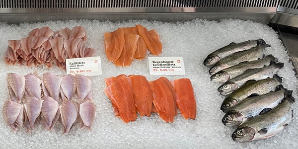 Aktuelles